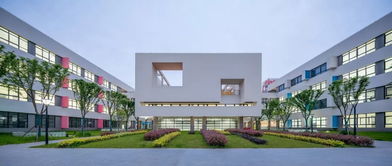 三林新添一所明珠教育集团成员学校 三林实验小学全新亮相,一大波学校实景图先睹为快